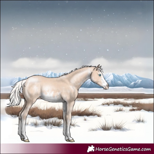 Horse Color:White Spotted Silver Perlino 