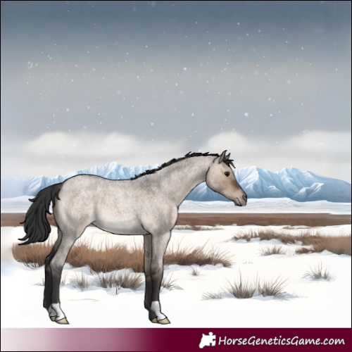 Horse Color:Brown Roan Dun 