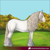 Horse Color:Buckskin Roan Pearl  and Buckskin Roan Pearl Dun 