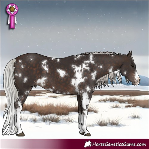 Horse Color:White Spotted Silver Brown 