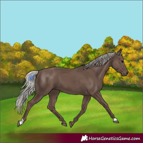 Horse Color:Silver Black 