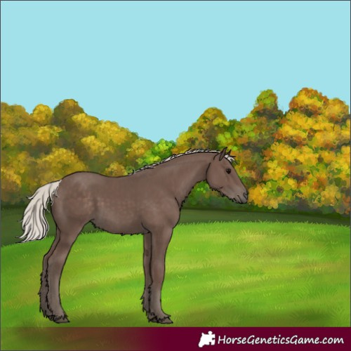 Horse Color:Silver Black 