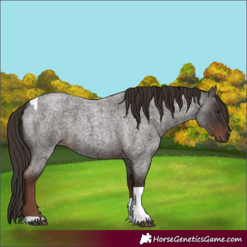 Horse Color:Liver Red Roan Tobiano 
