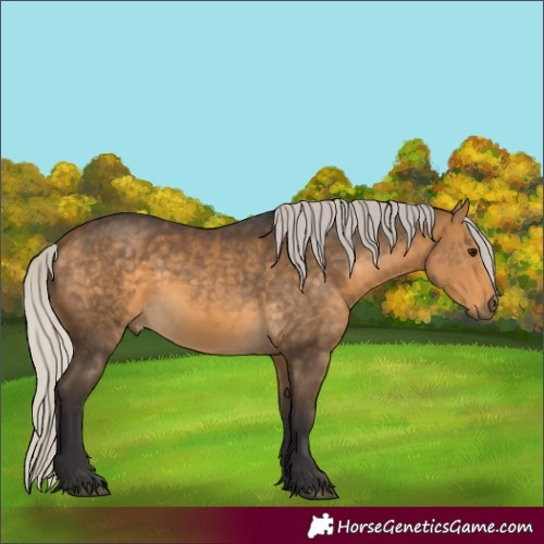 Horse Color:Silver Buckskin 