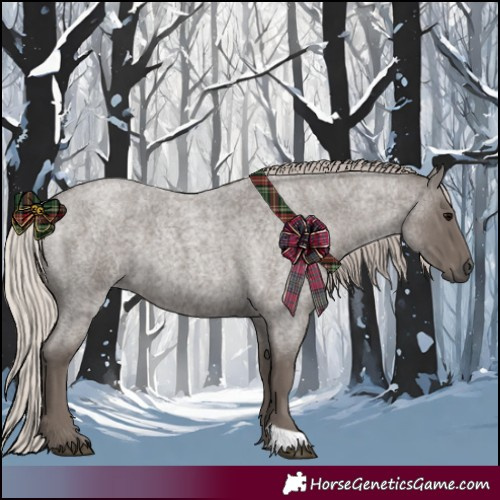 Horse Color:Silver Blue Roan 