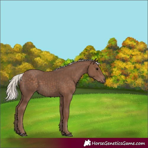 Horse Color:Silver Black 