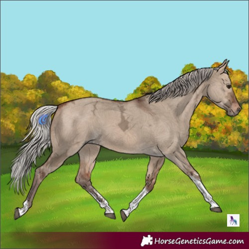 Horse Color:Silver Bay Ice Dun Sabino Tobiano Rabicano 