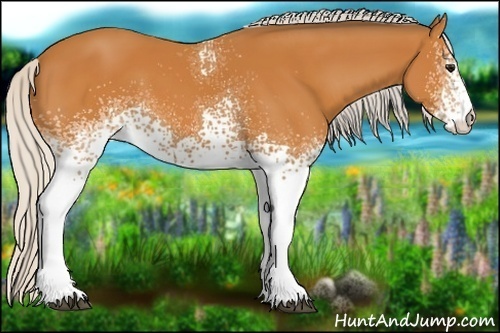 Horse Color:White Spotted Silver Bay 