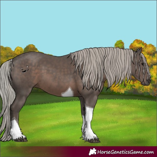 Horse Color:Silver Black Tobiano 