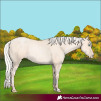 Horse Color:Silver Sable Cream Champagne Pearl