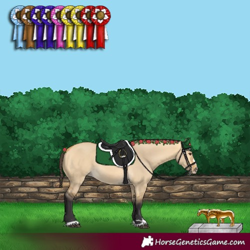 Horse Color:Buckskin Dun 