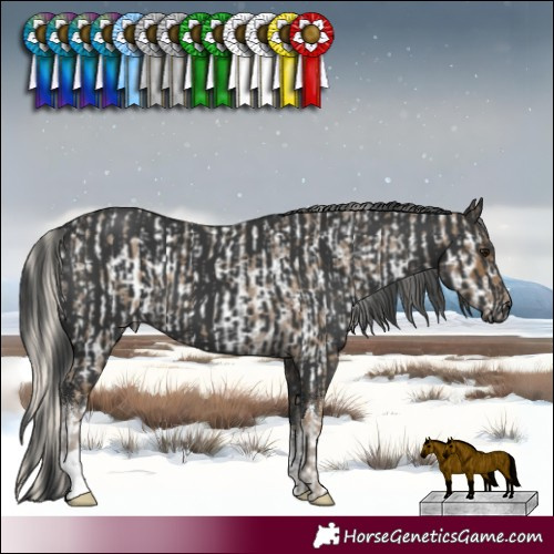 Horse Color:Silver Smoky Blue Roan Near Leopard  and White Spotted Black 