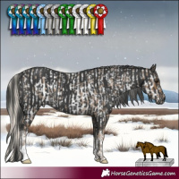 Horse Color:Silver Smoky Blue Roan Near Leopard  and White Spotted Black 