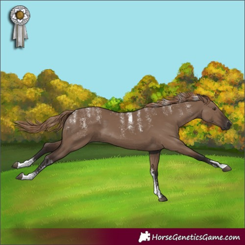 Horse Color:Powder White Liver Red Dun 