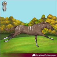 Horse Color:Powder White Liver Red Dun 