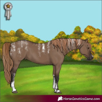 Horse Color:Powder White Liver Red Dun 