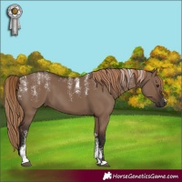 Horse Color:Powder White Liver Red Dun 