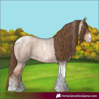 Horse Color:Liver Red Roan Pearl Tobiano Frame