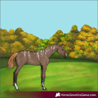 Horse Color:Powder White Liver Red Dun 