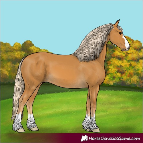 Horse Color:Palomino 