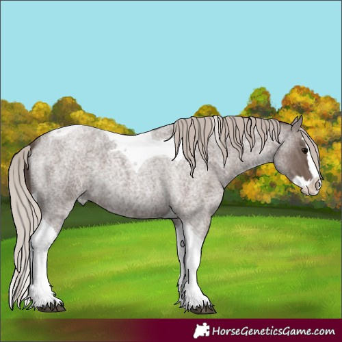 Horse Color:Silver Blue Roan Splash Tobiano 