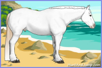 Horse Color:Red Dun Splash Varnish