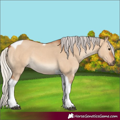 Horse Color:Silver Bay Dun Tobiano 