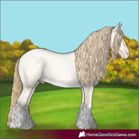 Horse Color:Buckskin Roan Pearl Dun Tobiano 