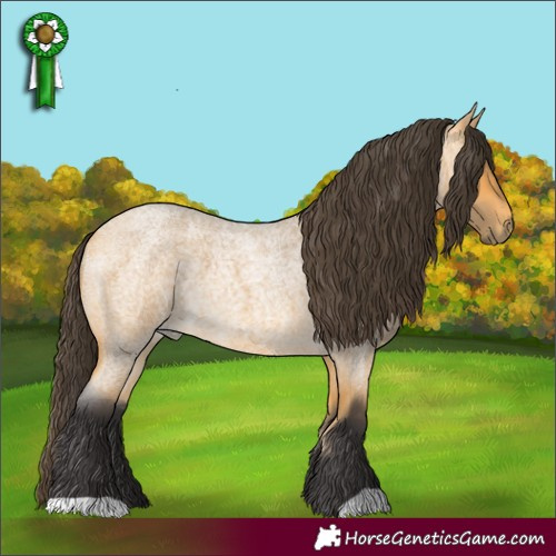 Horse Color:Buckskin Roan 