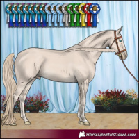 Horse Color:Smoky Creme