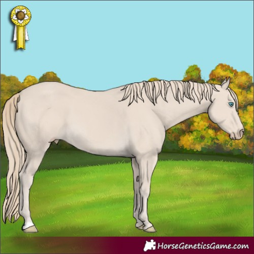 Horse Color:Smoky Creme 