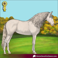Horse Color:Smoky Creme 