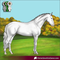 Horse Color:Silver Amber Champagne Pearl Sabino 