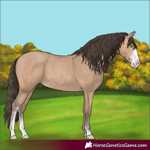 Horse Color:Amber Champagne Sabino 