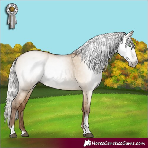 Horse Color:Gray Silver Bay Pearl Dun Sabino Tobiano