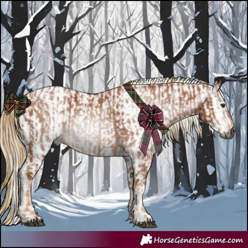Horse Color:Gray Chestnut and Gray Chestnut Leopard
