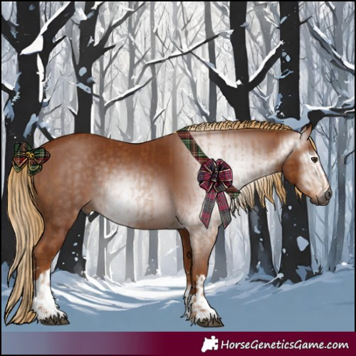 Horse Color:Gray Chestnut and Gray Chestnut