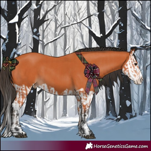 Horse Color:Bay Splash and Bay Splash