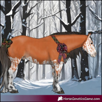 Horse Color:Bay Splash  and Bay Splash 