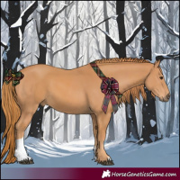 Horse Color:Chestnut  and Chestnut 