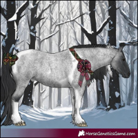 Horse Color:Blue Roan Tobiano 
