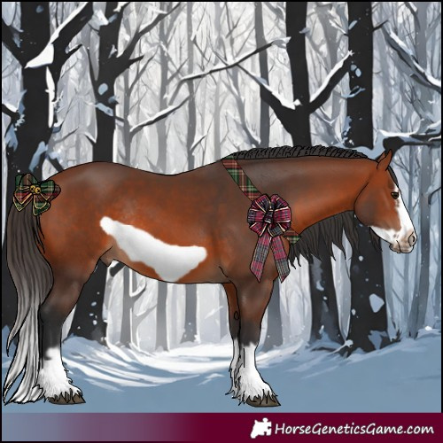 Horse Color:Bay Splash Frame Rabicano