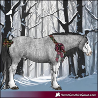 Horse Color:Blue Roan Splash  and Blue Roan Splash 