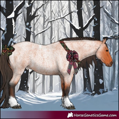 Horse Color:Bay Roan Tobiano Rabicano