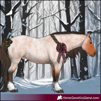 Horse Color:Bay Roan Tobiano Rabicano 
