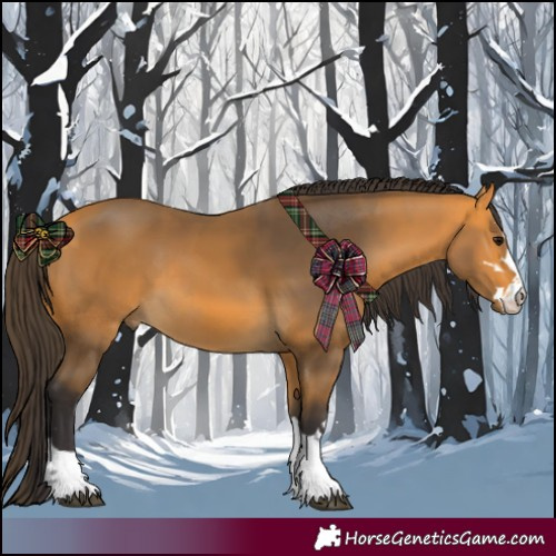 Horse Color:Buckskin and Buckskin