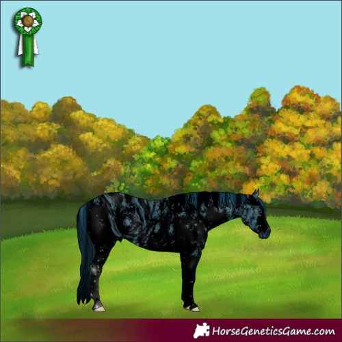 Horse Color:ERROR: UNKNOWN ANOMALY