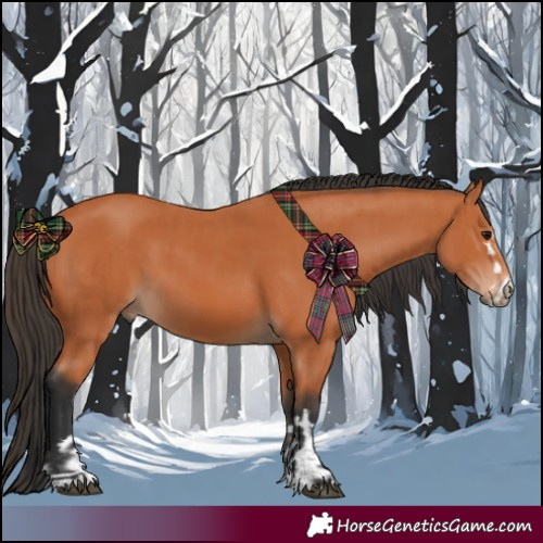 Horse Color:Bay and Bay