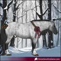 Horse Color:Blue Roan  and Blue Roan 