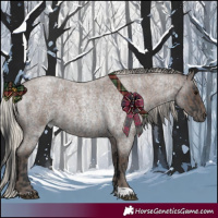 Horse Color:Blue Roan  and Silver Blue Roan 